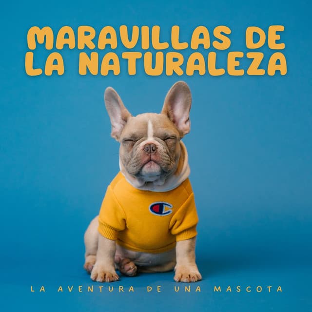 Maravillas de la Naturaleza: La Aventura de una Mascota - Los mejores sonidos de la naturaleza