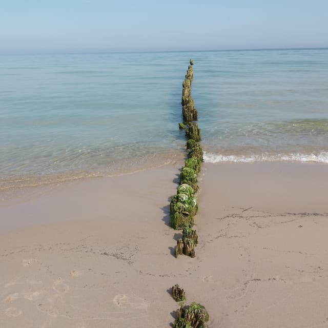 Beautiful Views - Jazzy Coffee