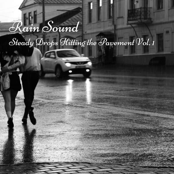Rain Sound: Steady Drops Hitting the Pavement Vol. 1 - The Rain Factory