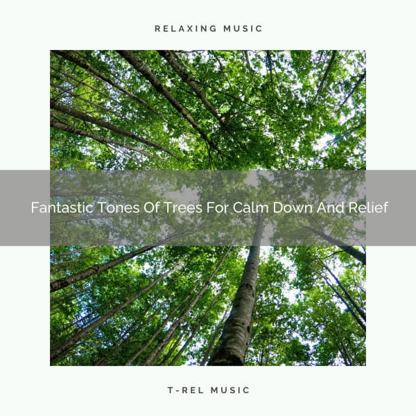 2020 Best: Fantastic Tones Of Trees For Calm Down And Relief - Ambient Forest