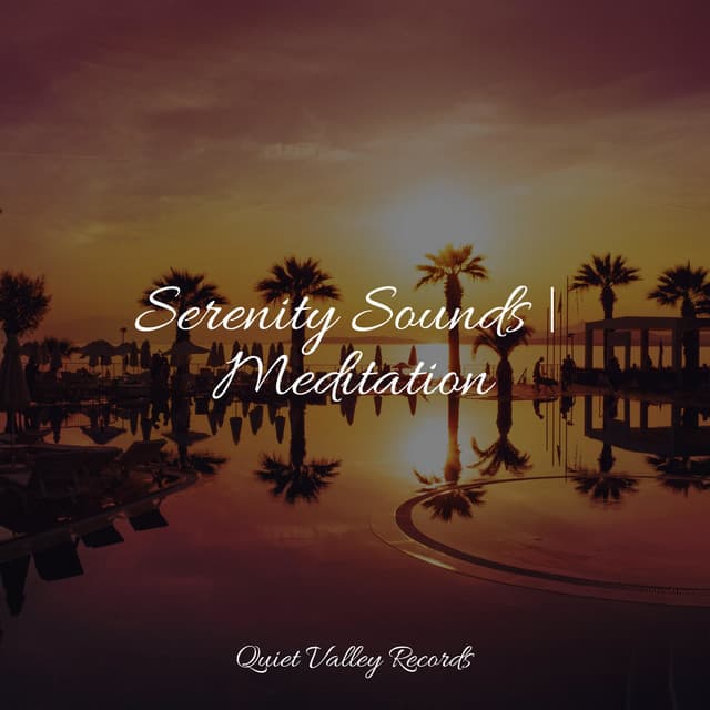 Serenity Sounds | Meditation - Namaste Yoga