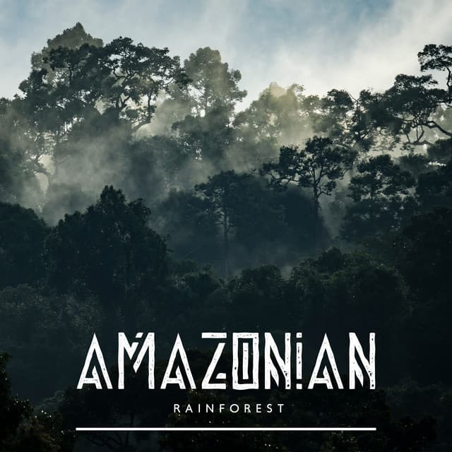 Amazonian Rainforest - Forest Hills Music Universe