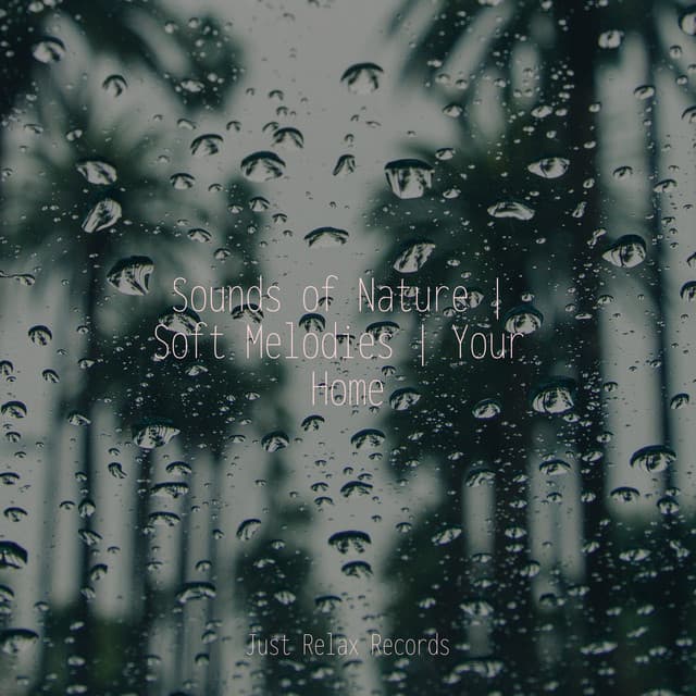 Sounds of Nature | Soft Melodies | Your Home - Sleepy Night Music