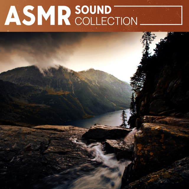 ASMR Sound Collection: Relax Your Mind - Organic Sound