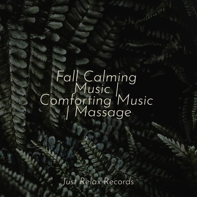 Fall Calming Music | Comforting Music | Massage - Dog Music