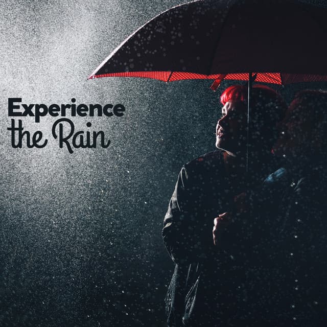 Experience the Rain - Ambient Rain