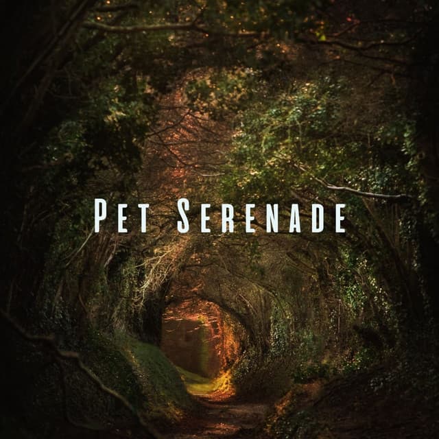 Pet Serenade: Stress-Free Vibes with Binaural and Nature Sounds - Music of the Forest