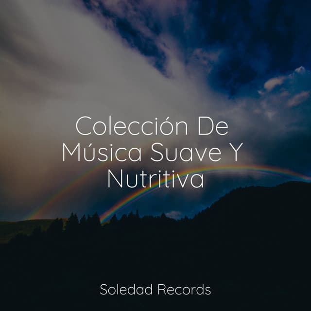 Colección De Música Suave Y Nutritiva - Naturaleza Relajacion