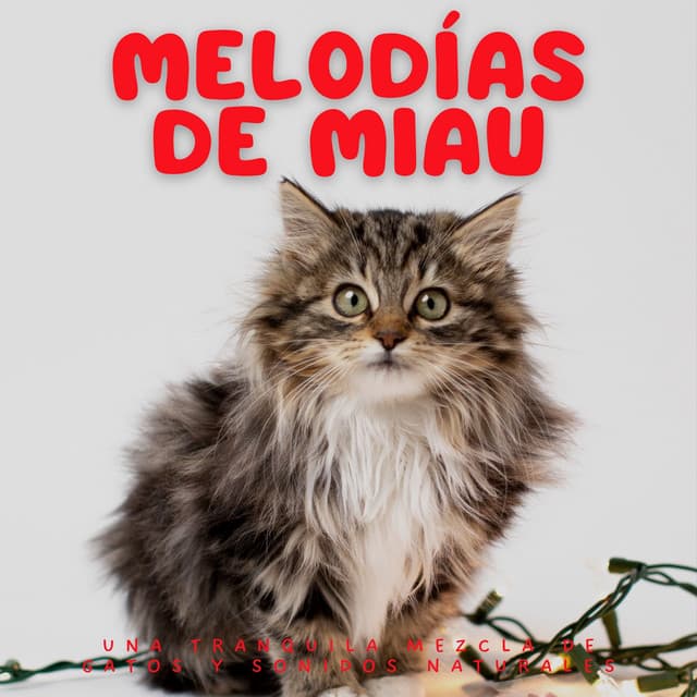 Melodías De Miau: Una Tranquila Mezcla De Gatos Y Sonidos Naturales - Madre naturaleza