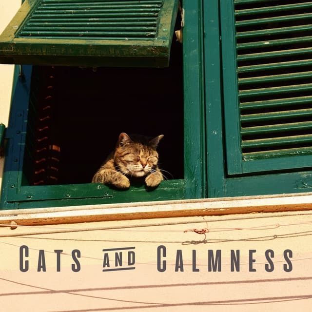 Cats & Calmness: Ambient Music for Cats' Tranquility - Sandman’s Music Box