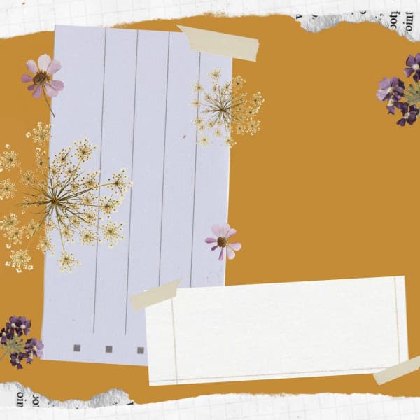 Number One Guitar Jazz - Background for Colorful Unwinding - Classy Bossa Piano Jazz Playlist