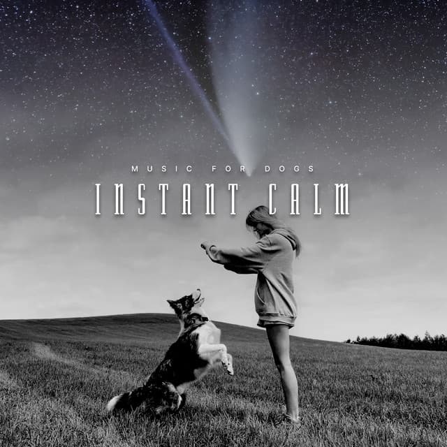 Instant Calm - Music For Dogs
