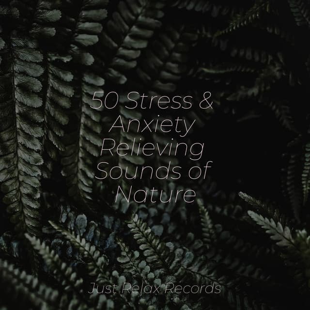 50 Stress & Anxiety Relieving Sounds of Nature - Yoga Namaste