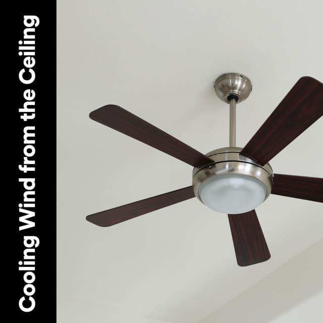 Cooling Wind from the Ceiling - Fan Noises for Sleep