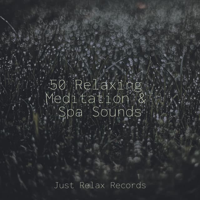 50 Relaxing Meditation & Spa Sounds - Schlaflieder Für Kinder