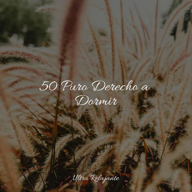 50 Puro Derecho a Dormir - Mantra para Dormir