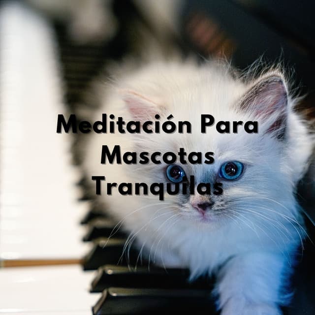 Plumaje Y Pelaje En Calma: Meditación Para Mascotas Tranquilas - Biblioteca de sonidos para animales