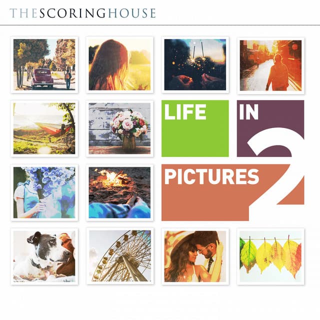 Life In Pictures 2 - Alexander Gray