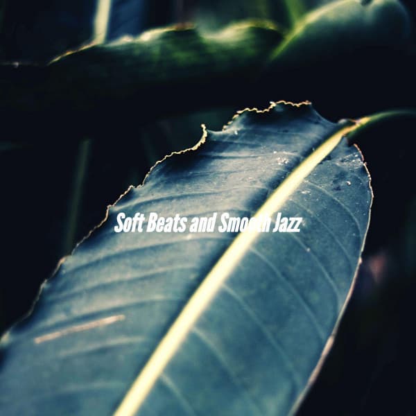 Soft Beats and Smooth Jazz - Reading Background Music Playlist