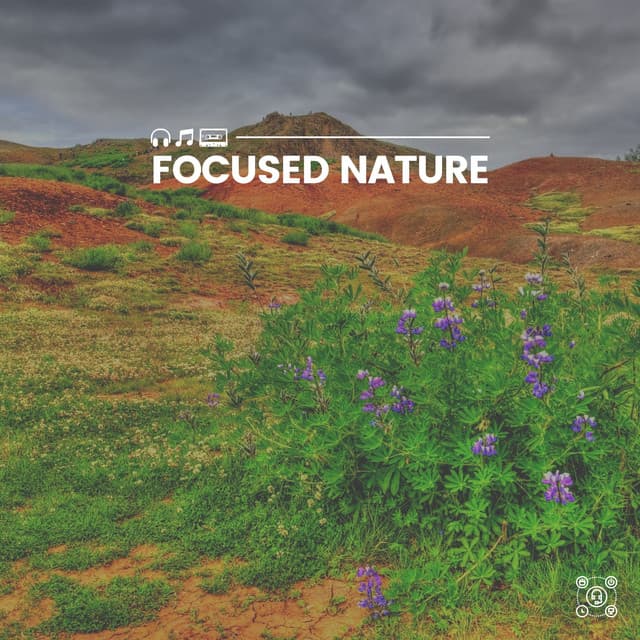 Focused Nature - Soothing Nature Sounds