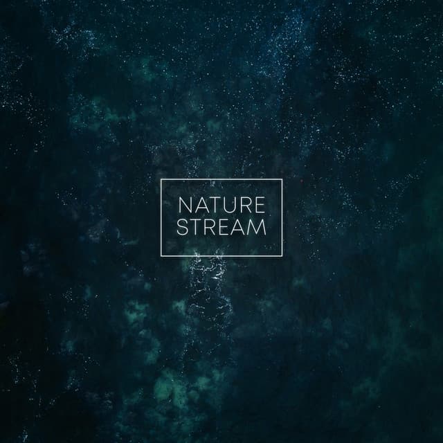 Nature Stream - Deep Sleep
