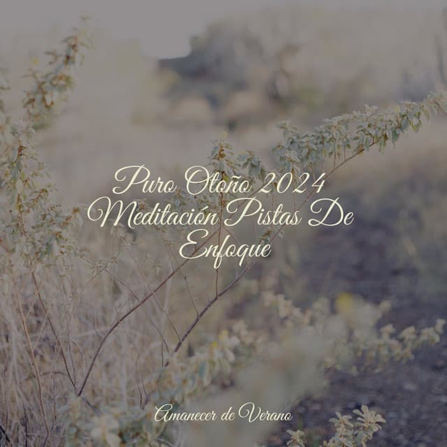 Puro Otoño 2024 Meditación Pistas De Enfoque - Mantra para Meditar