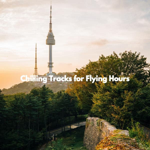 Chilling Tracks for Flying Hours - Music for Cooking