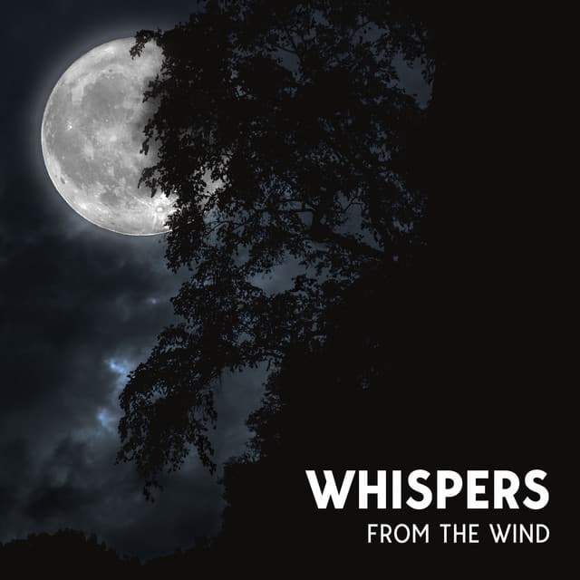 Invisible Drift - Earl Cooper