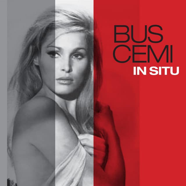 In Situ - Buscemi