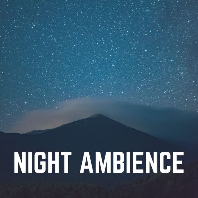 Night Ambience - Pilates Music