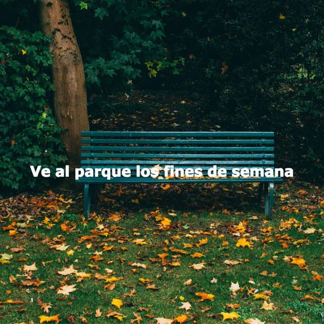 Ve al parque los fines de semana - Jazz Shades