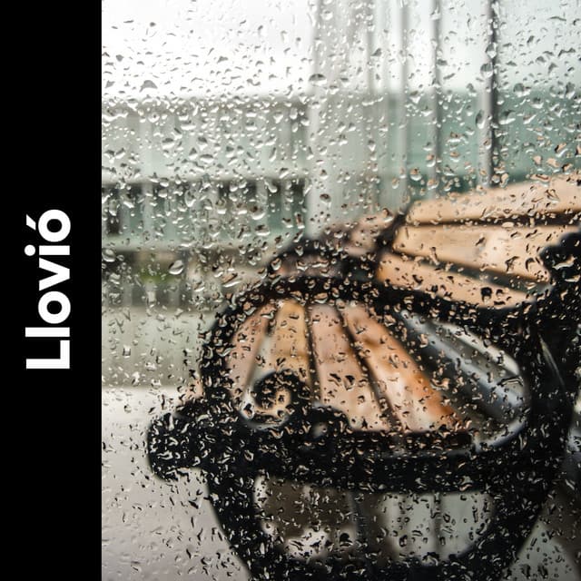 Llovió - Sonidos De Agua