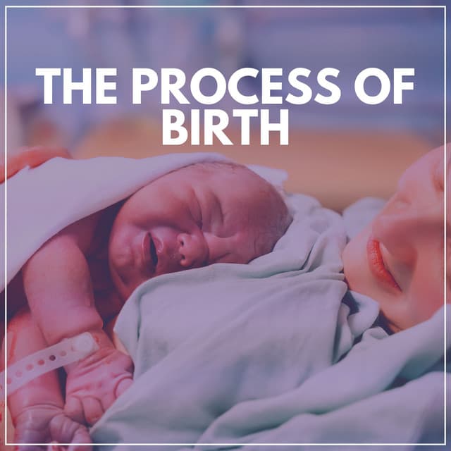 The Process of Birth - Nature Music Pregnancy Academy