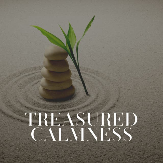 Treasured Calmness - Ambient 11