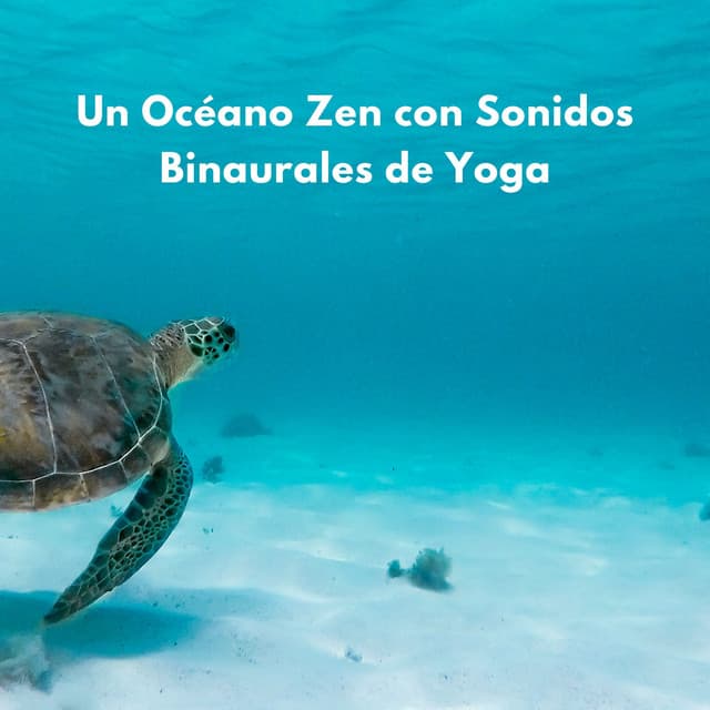 Un Océano Zen Con Sonidos Binaurales De Yoga - Domingos por el Océano