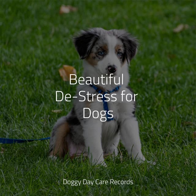 Beautiful De-Stress for Dogs - Sleeping Music For Dogs