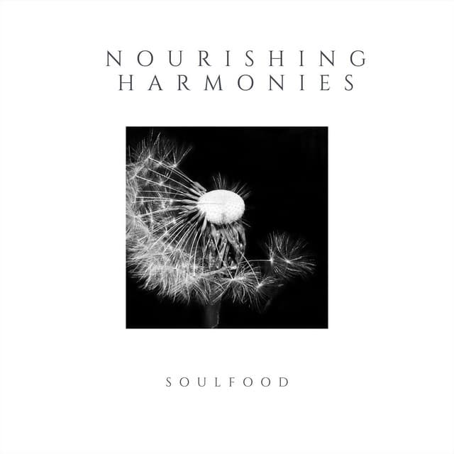 Nourishing Harmonies - Soulfood