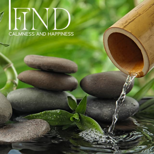 Find Calmness and Happiness - Asha Age