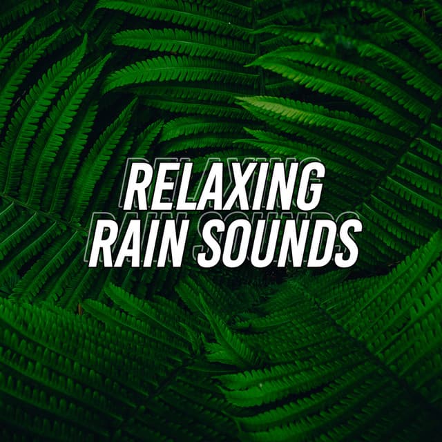 Relaxing Rain Sounds - Nature Sounds