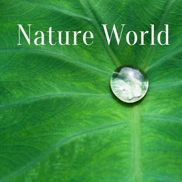 Nature World: Soothing Sounds for Meditation, Spa, Yoga, Sleep - Nature Sounds Universe