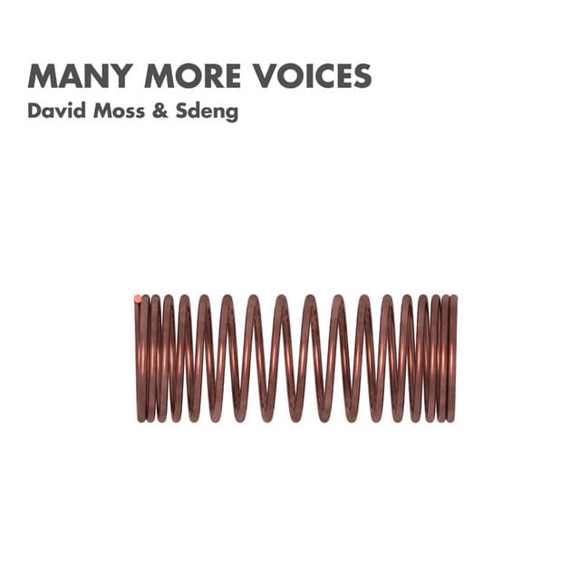 Many More Voices - David Moss
