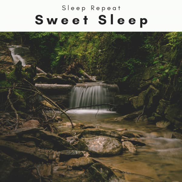 1 Sweet Sleep - Sleep Repeat
