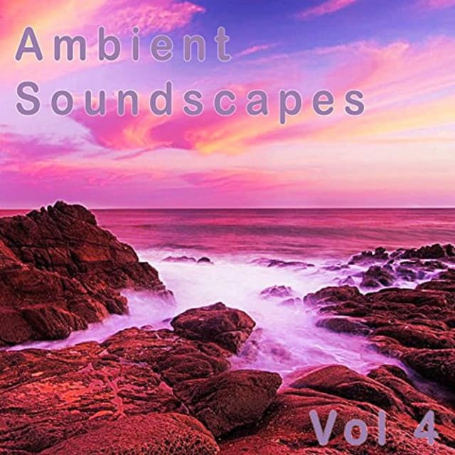 Ambient SoundScapes Vol 4 - Amanda Lee Falkenberg