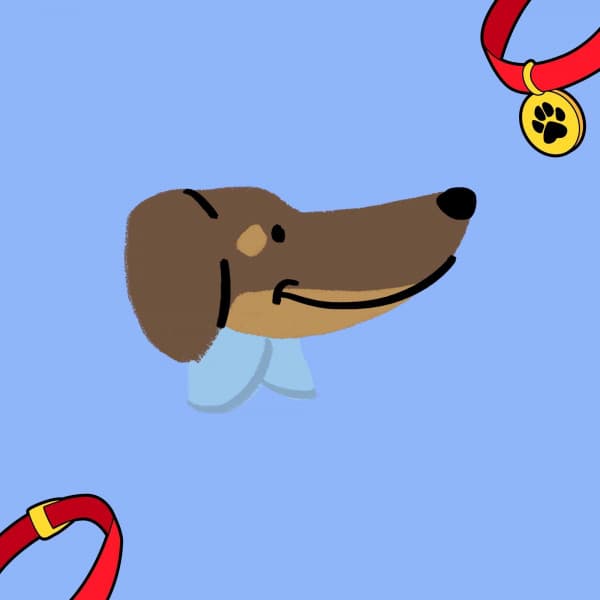 Jazz Violin - Background for Relaxing with The Puppy - Calma Música para Perros