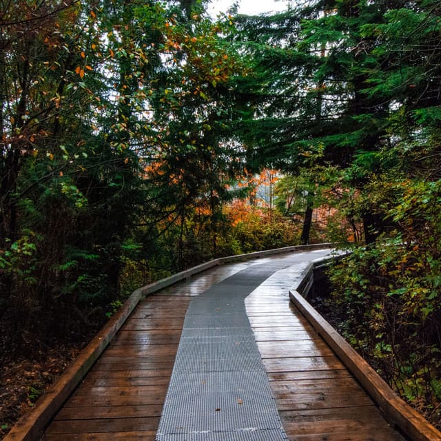 Soothing Refuge: A Serene Raindrop Soundscape Journey - Granular Soundscape