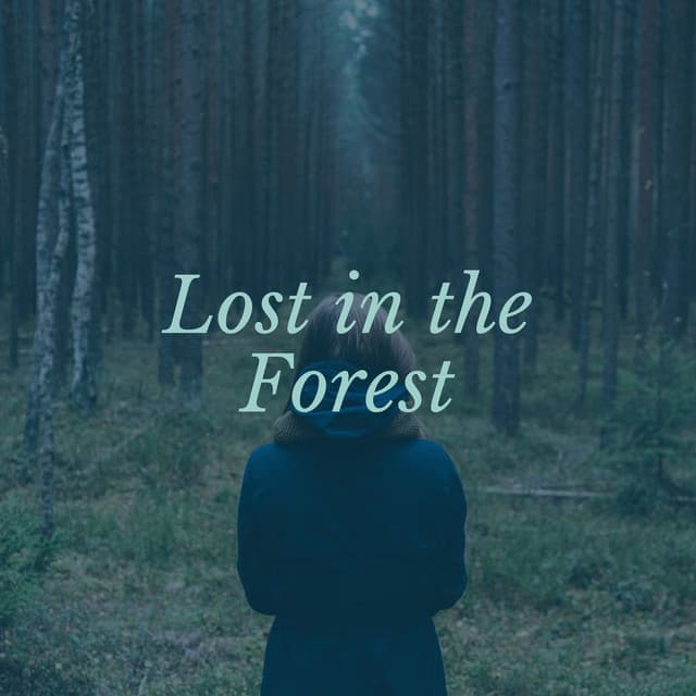 Lost in the Forest - Nature Sounds XLE Library