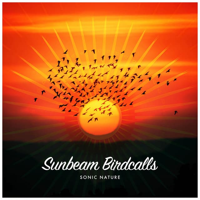 Sunbeam Birdcalls - Sonic Nature