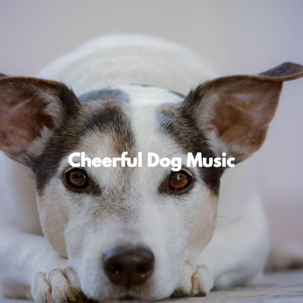 Cheerful Dog Music - Piano Jazz Luxury