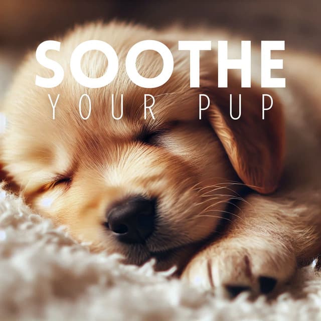 Soothe Your Pup: Tranquil Music for Dogs - Calm Doggy