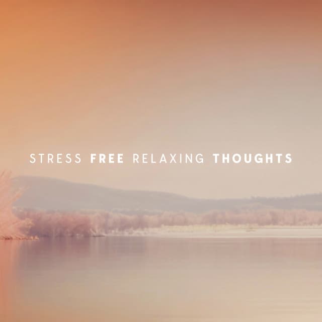 Stress Free Relaxing Thoughts - Mitch Lerunesh